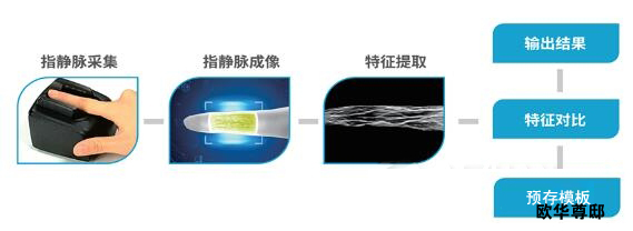 别墅门，智能门锁